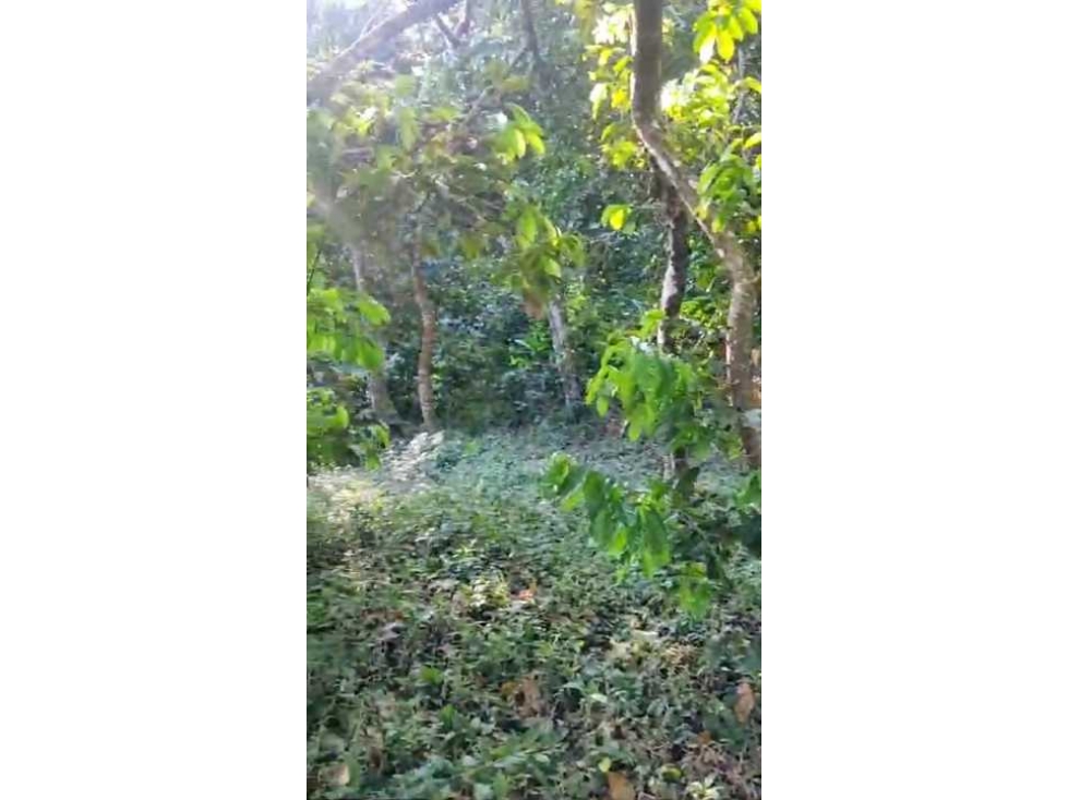 Finca en Venta en Minca Santa Marta — foto 4