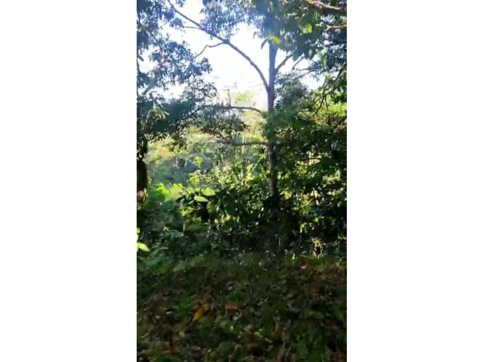 Finca en Venta en Minca Santa Marta — foto 5