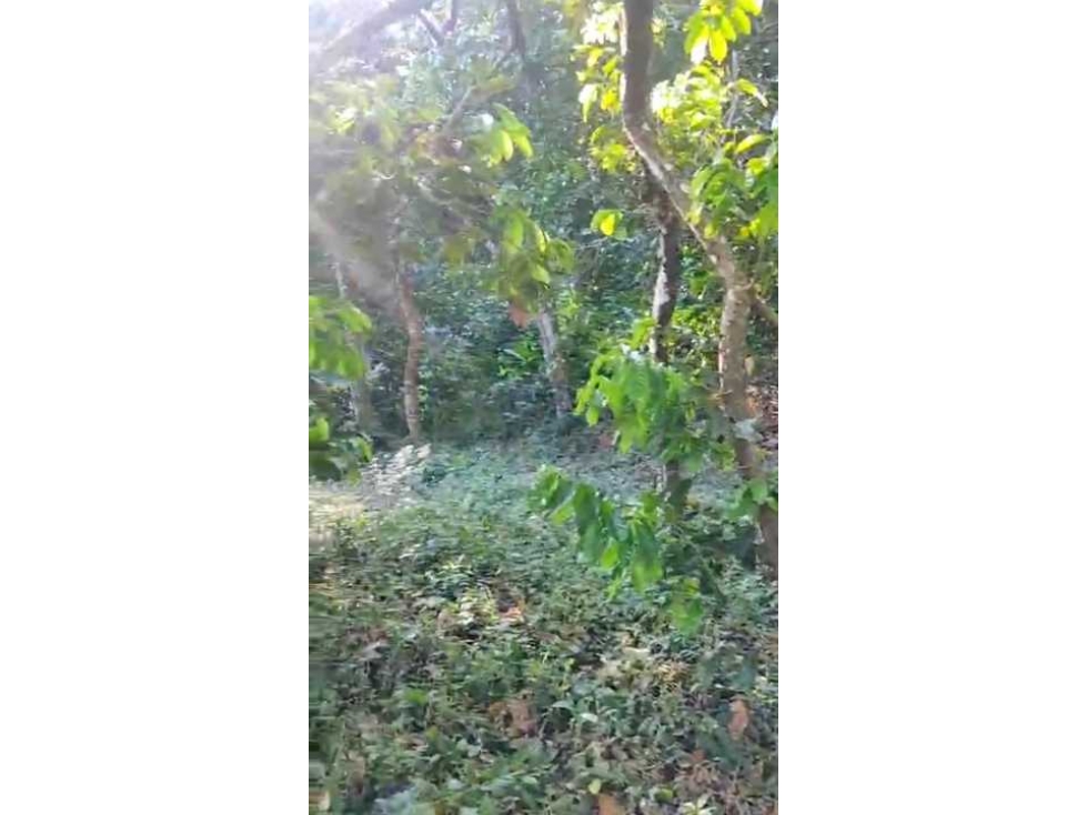 Finca en Venta en Minca Santa Marta — foto 6