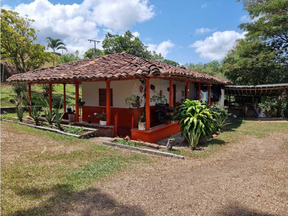 Finca en venta en quebrada Nueva ideal para cultivo de cítricos - 1