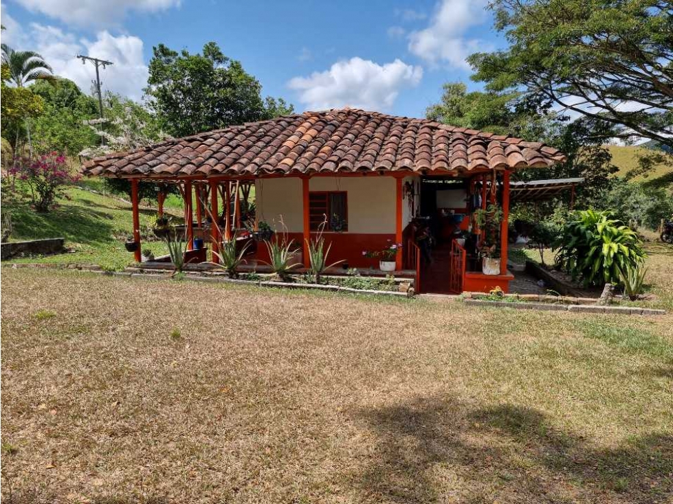Finca en venta en quebrada Nueva ideal para cultivo de cítricos - 2