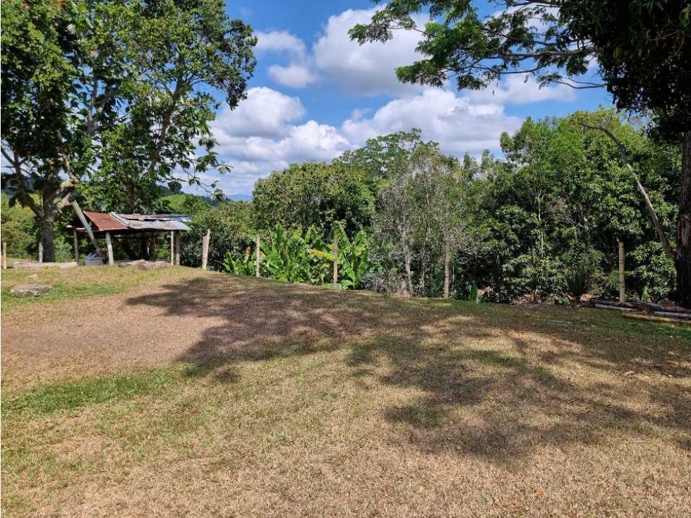 Finca en venta en quebrada Nueva ideal para cultivo de cítricos - 4