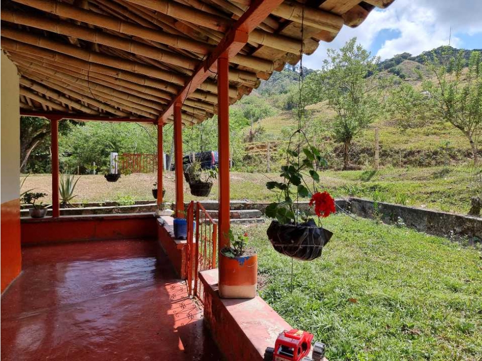 Finca en venta en quebrada Nueva ideal para cultivo de cítricos - 5