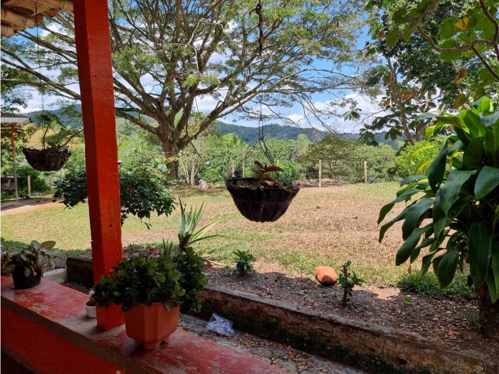 Finca en venta en quebrada Nueva ideal para cultivo de cítricos - 6