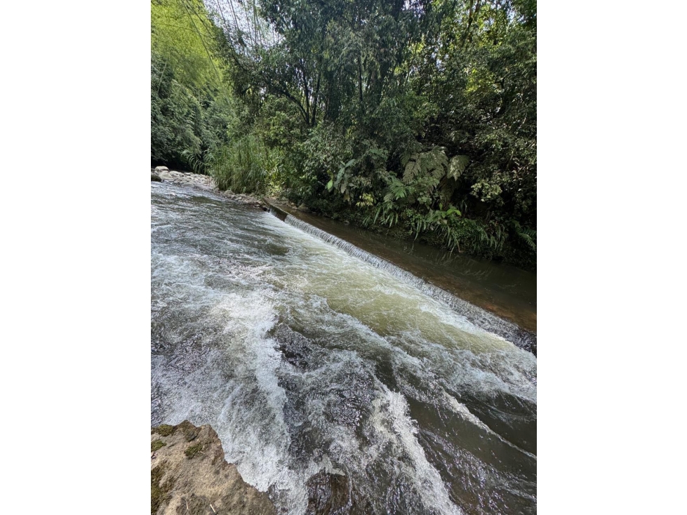 FINCA EN VENTA EN QUINDIO A 20 MINUTOS DE CIRCASIA