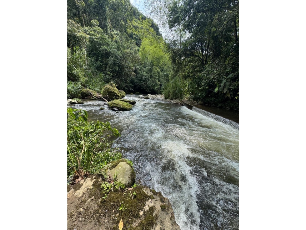 FINCA EN VENTA EN QUINDIO A 20 MINUTOS DE CIRCASIA — foto 2