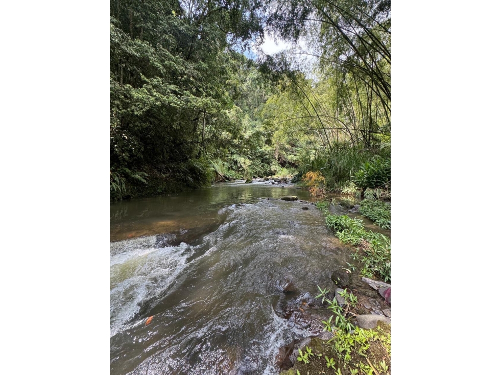 FINCA EN VENTA EN QUINDIO A 20 MINUTOS DE CIRCASIA — foto 3