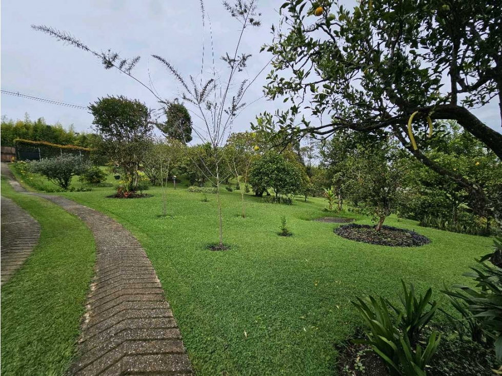Finca en Venta en Rionegro, Vereda Toldas | Lote cerca al Aeropuerto — foto 5