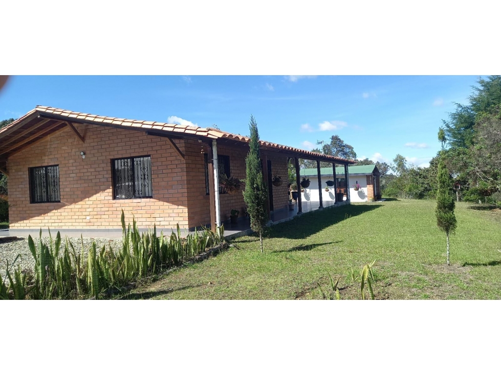 CASA FINCA EN VENTA EN SAN VICENTE FERRER — foto 2