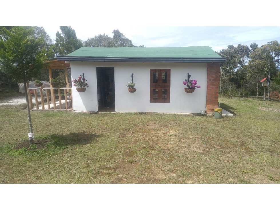 CASA FINCA EN VENTA EN SAN VICENTE FERRER — foto 4