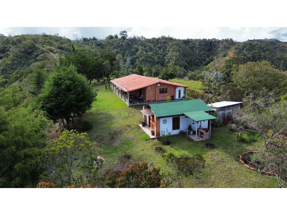 CASA FINCA EN VENTA EN SAN VICENTE FERRER — foto 6