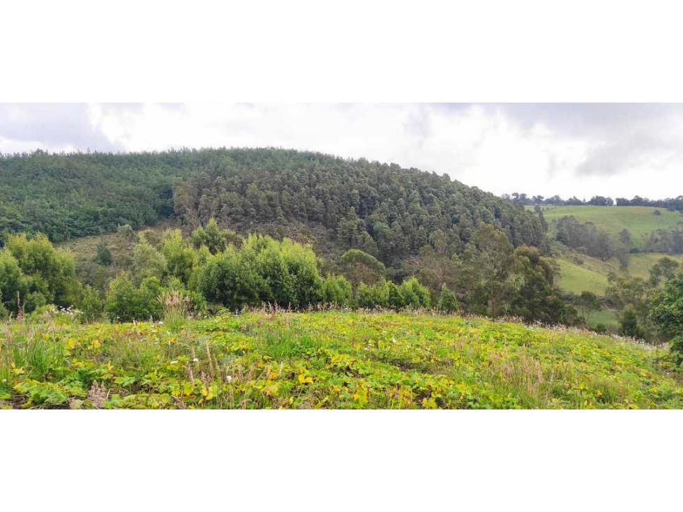 Finca en venta en zipacon - 2