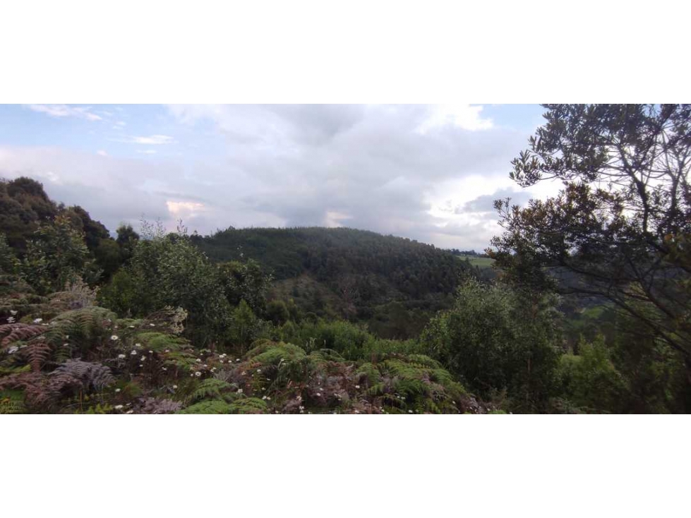 Finca en venta en zipacon - 3