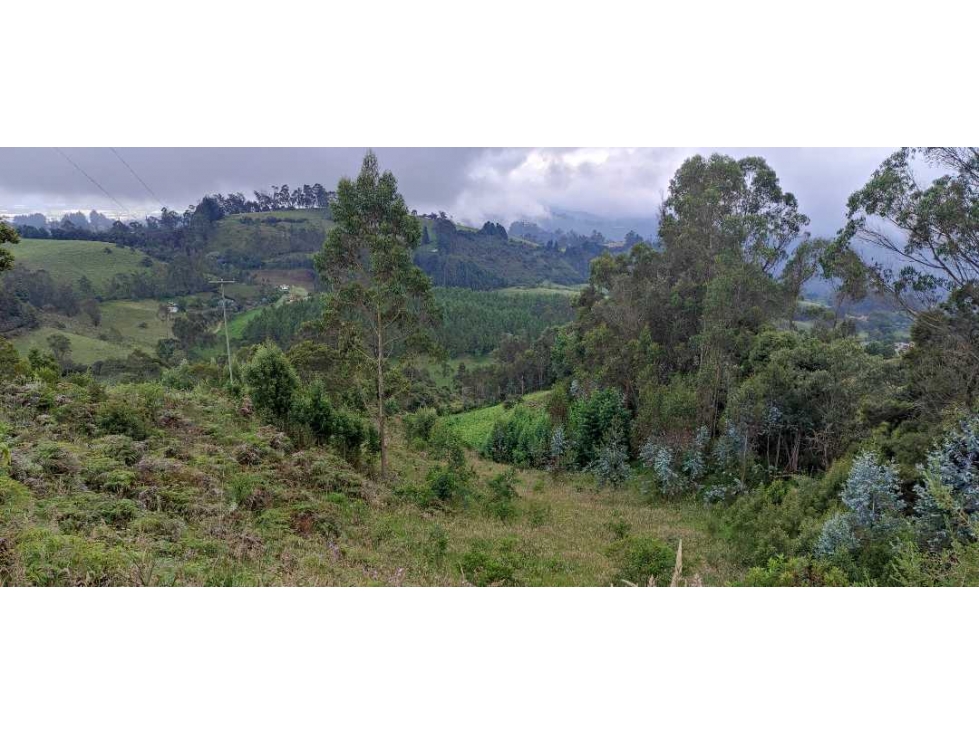 Finca en venta en zipacon - 5
