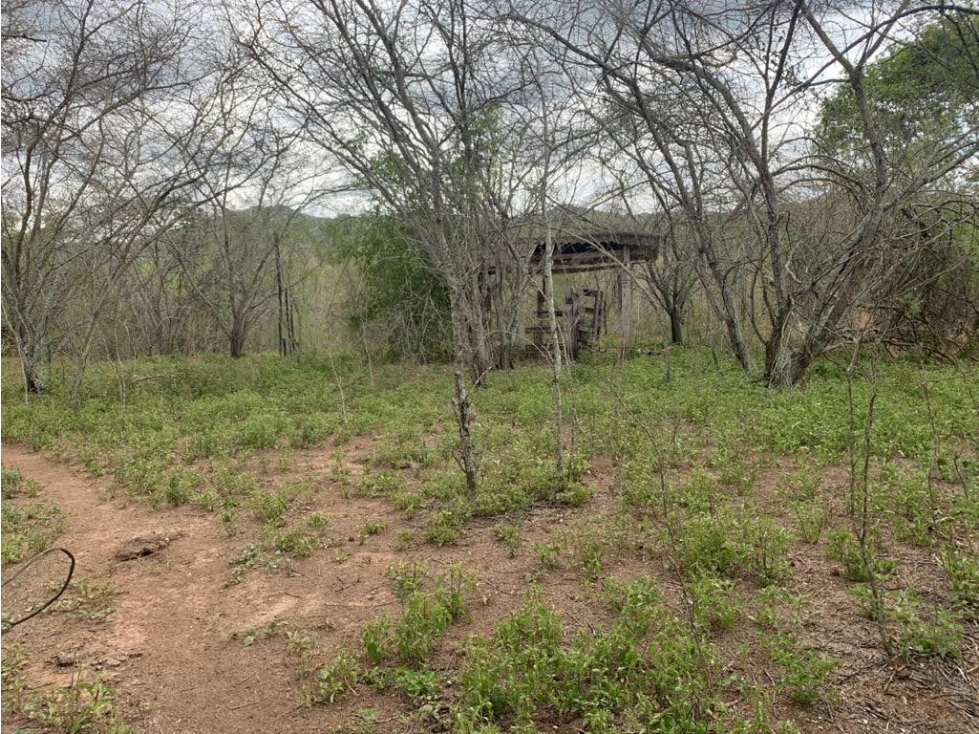 Finca en venta - Guaduas - 2