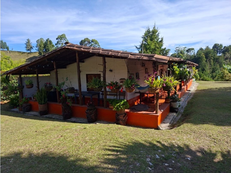FINCA EN VENTA - GUARNE — foto 3