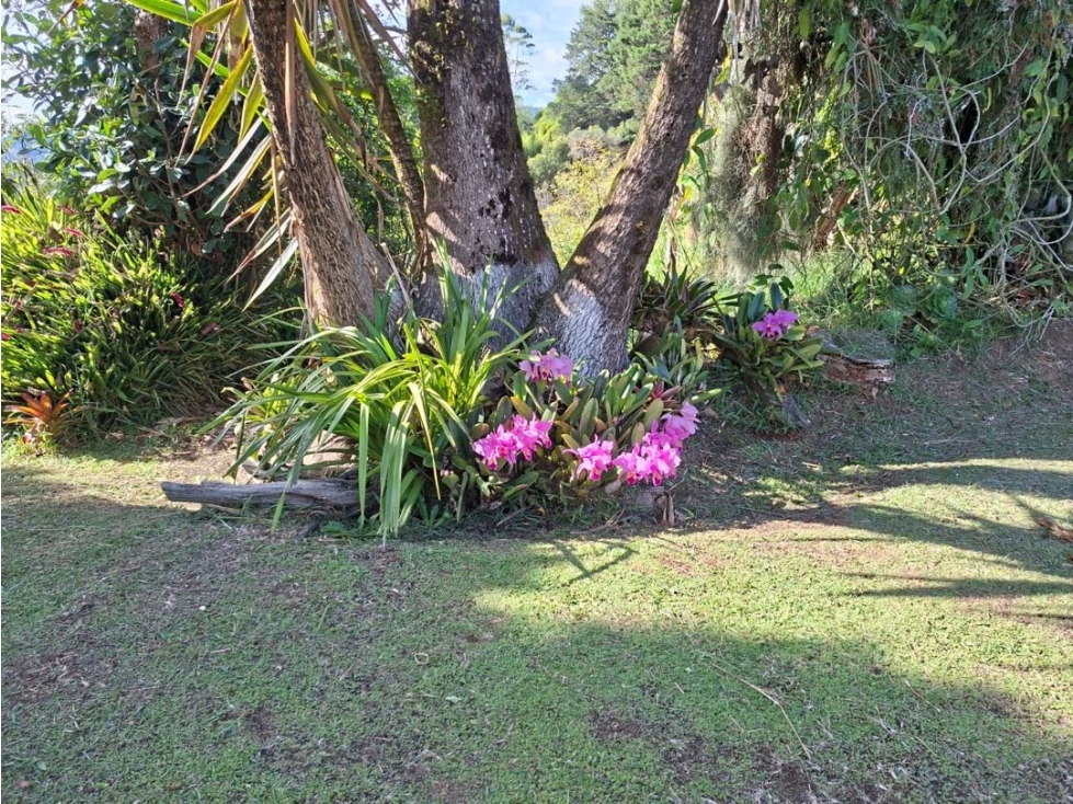 FINCA EN VENTA - GUARNE — foto 6