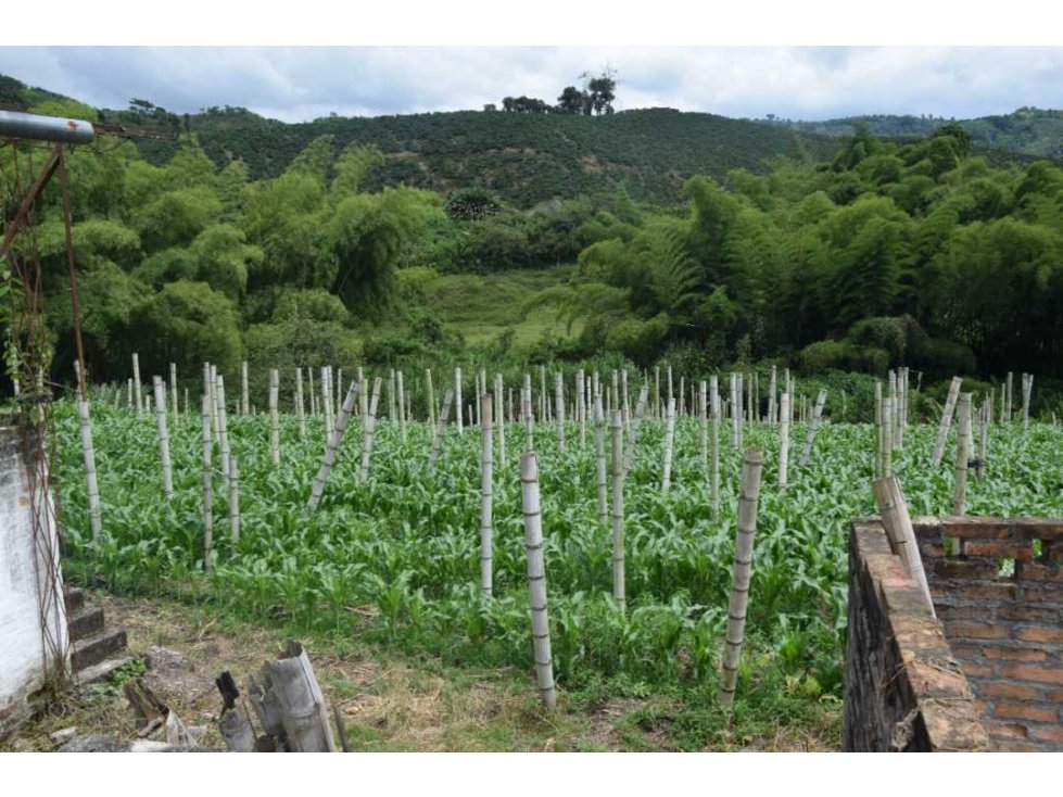 Finca en Venta La Cabaña — foto 2