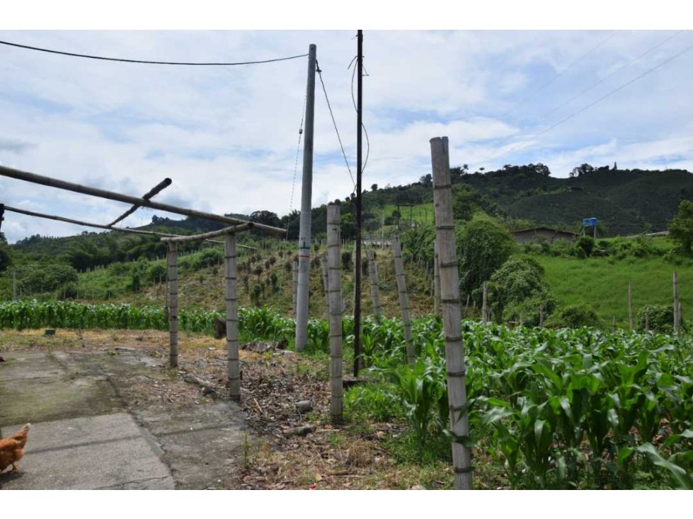 Finca en Venta La Cabaña — foto 4