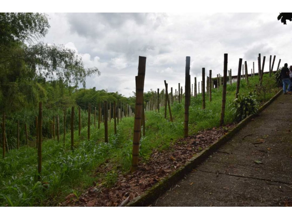 Finca en Venta La Cabaña — foto 6