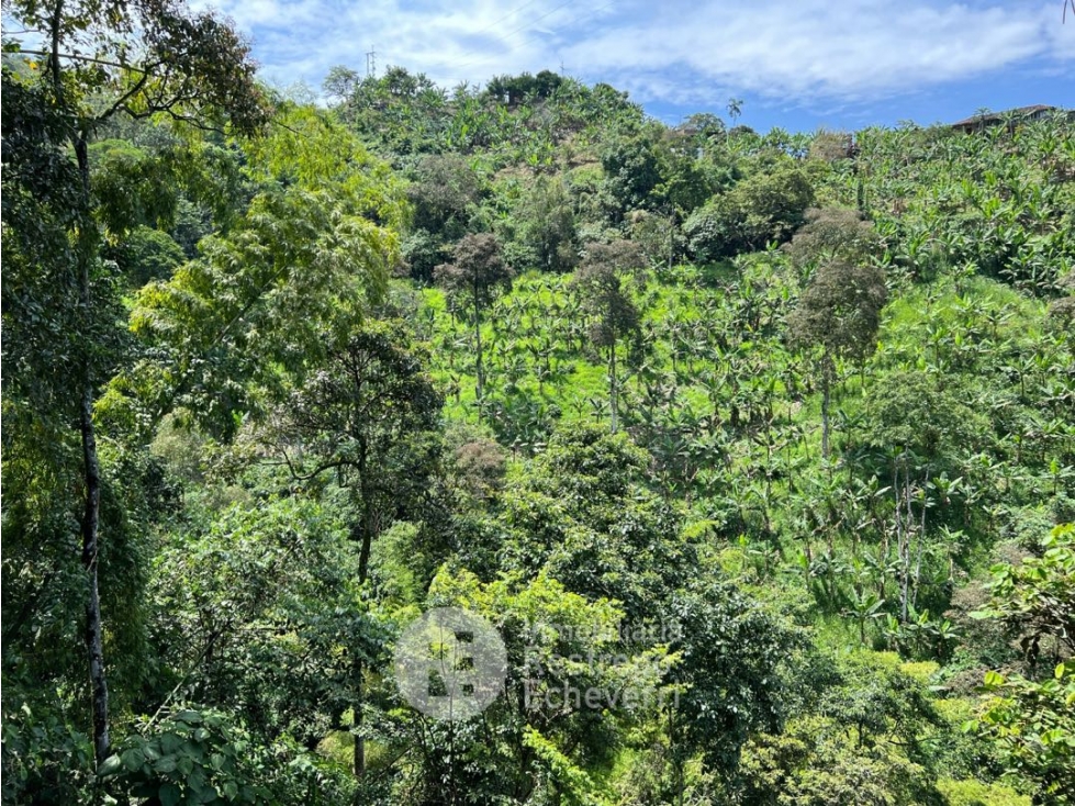 Finca en venta, La Cabaña, Manizales — foto 5