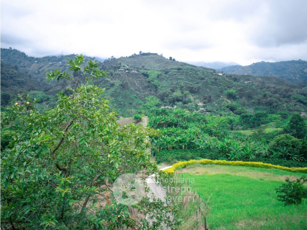 Finca en venta, La Cabaña, Manizales — foto 3