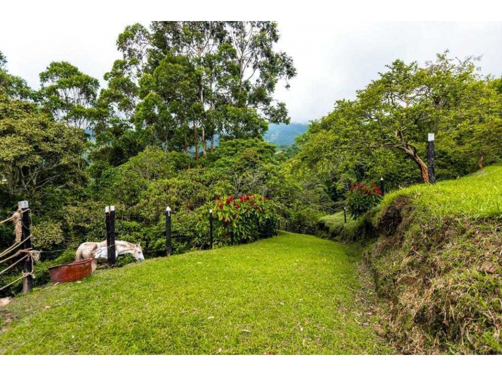 Finca en venta La Vega, Vereda San Juan