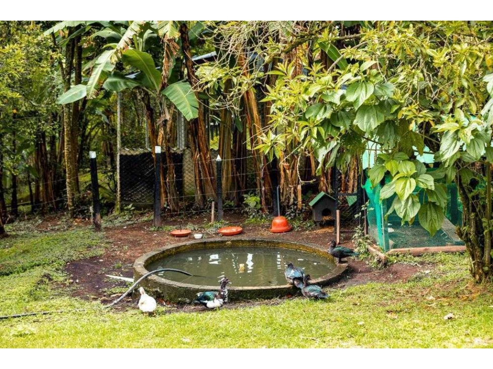 Finca en venta La Vega, Vereda San Juan — foto 3
