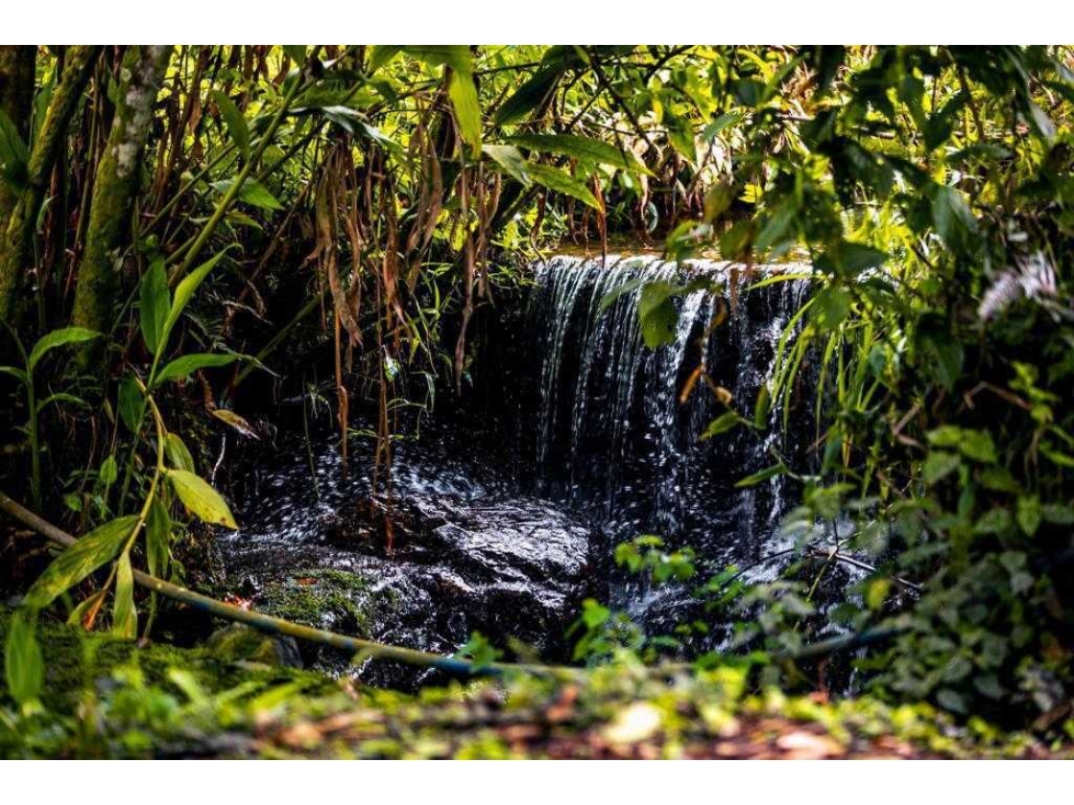 Finca en venta La Vega, Vereda San Juan — foto 6