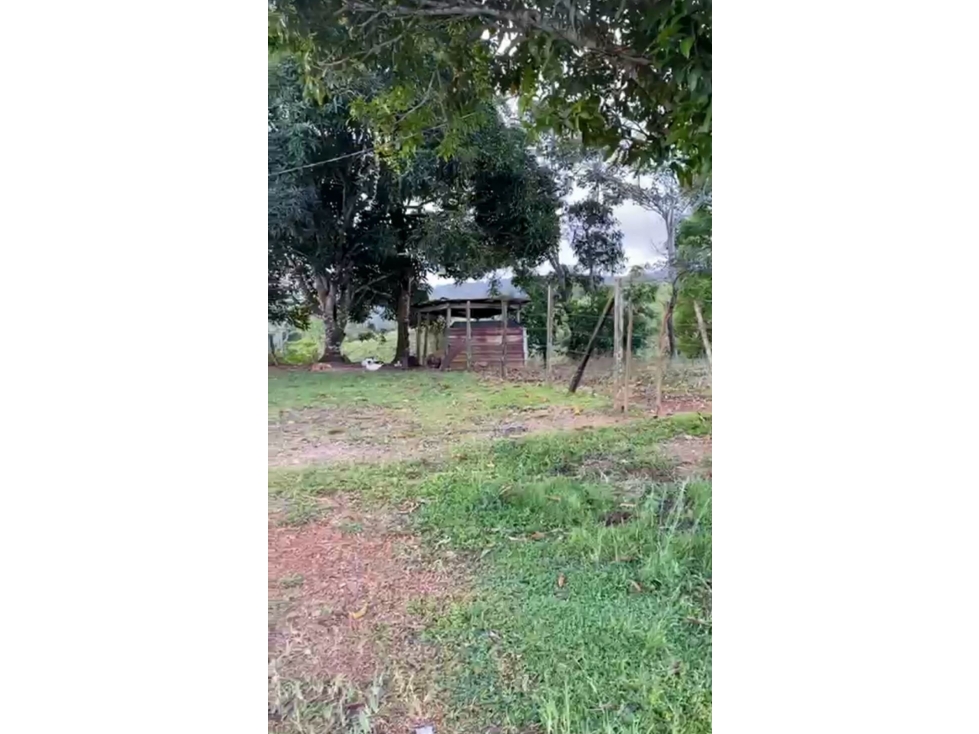 Finca en venta Nombre de Dios - 3