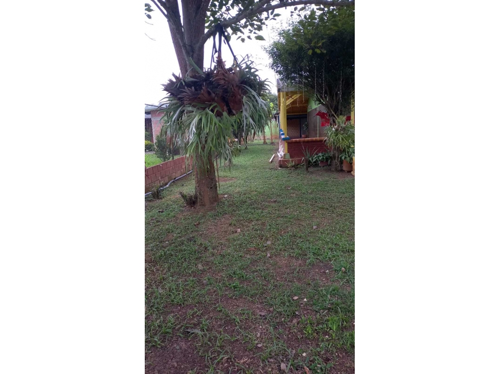 Finca en venta pavas - 4