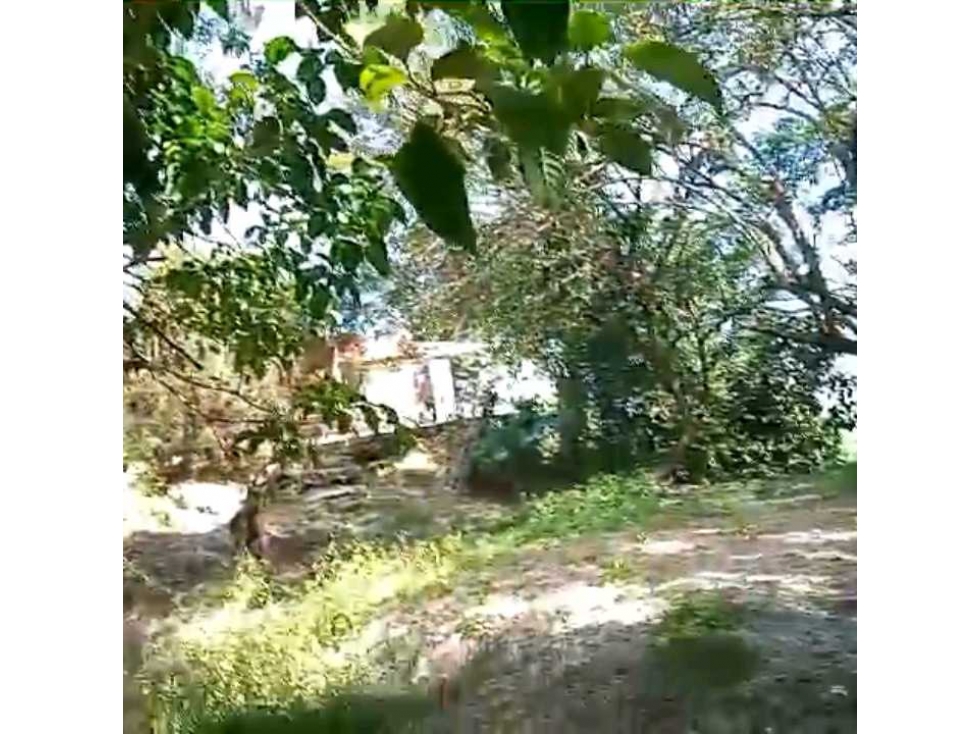 Finca En Venta Por La Vereda Los Limones Santa Marta Colombia