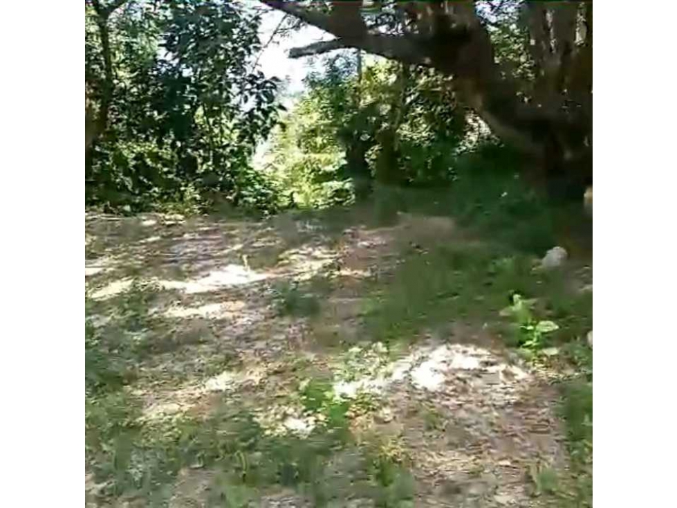 Finca En Venta Por La Vereda Los Limones Santa Marta Colombia — foto 2