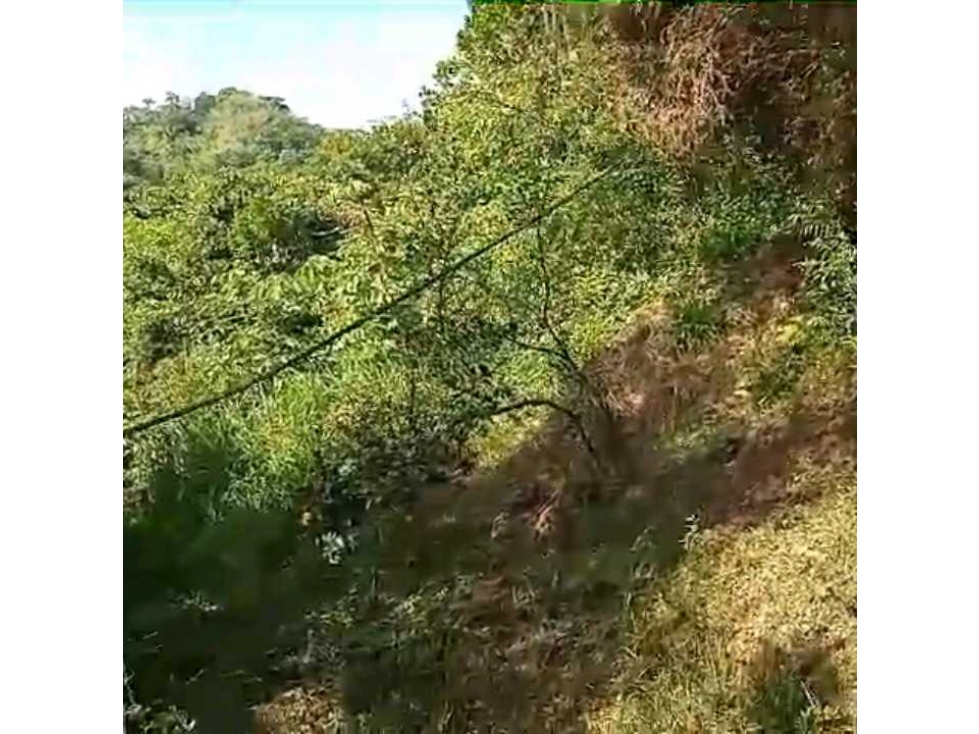 Finca En Venta Por La Vereda Los Limones Santa Marta Colombia — foto 4