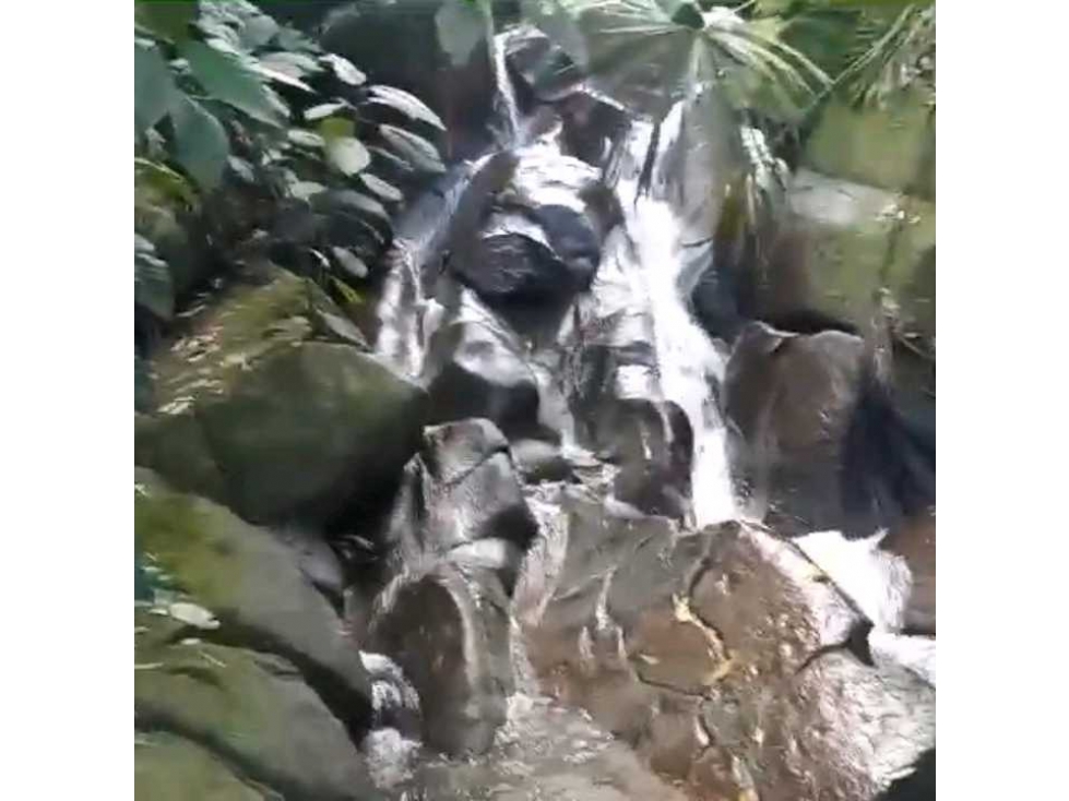 Finca En Venta Por La Vereda Los Limones Santa Marta Colombia — foto 6