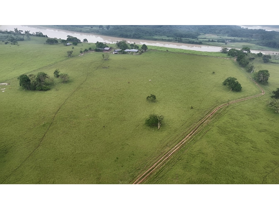 Finca en venta - Puerto Rico