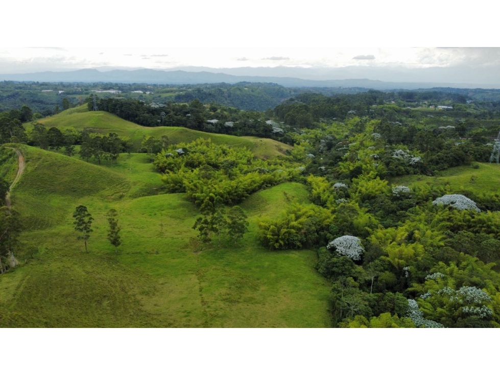 Finca en Venta Reserva Barbas Bremen, Pereira