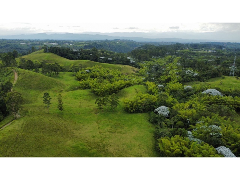 Finca en Venta Reserva Barbas Bremen, Pereira — foto 2