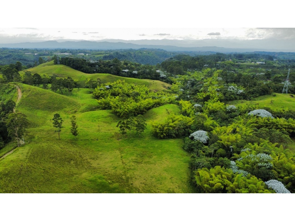 Finca en Venta Reserva Barbas Bremen, Pereira — foto 3