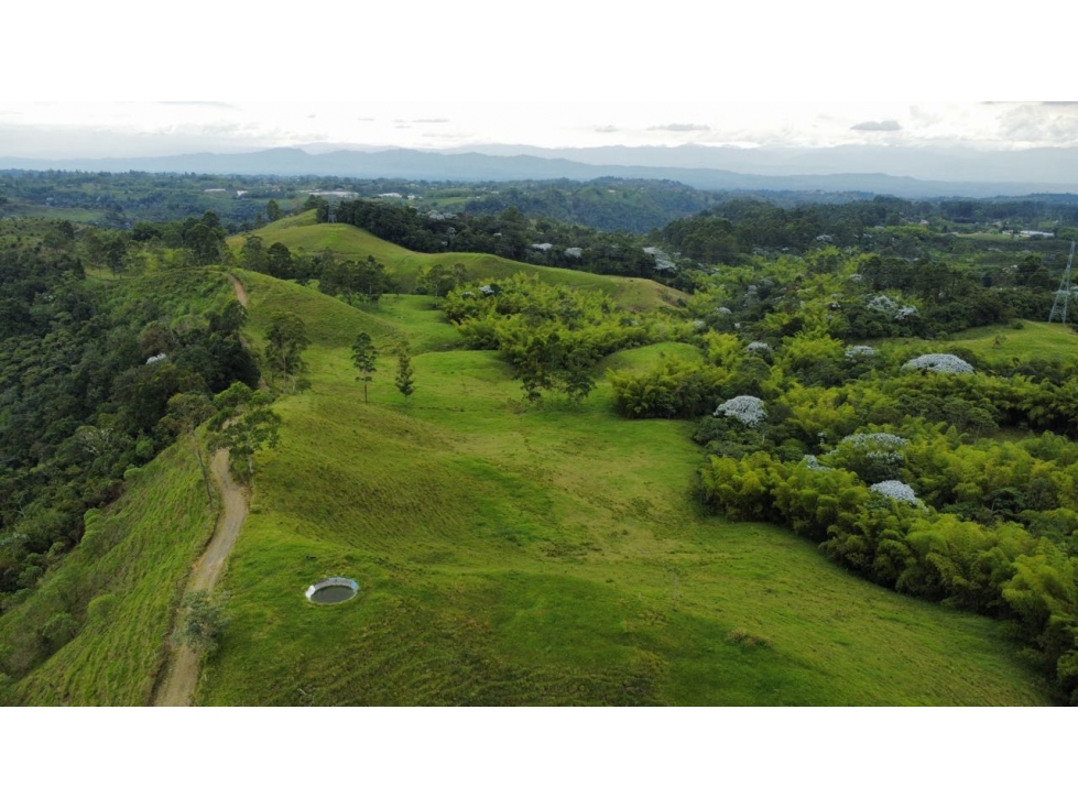 Finca en Venta Reserva Barbas Bremen, Pereira — foto 4