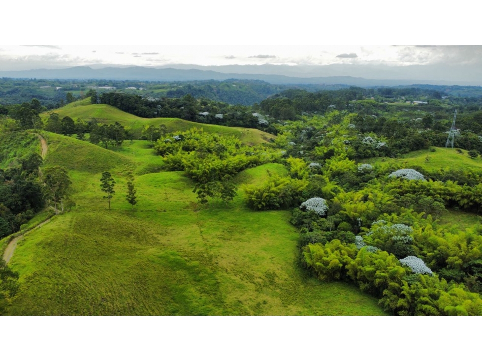 Finca en Venta Reserva Barbas Bremen, Pereira — foto 5