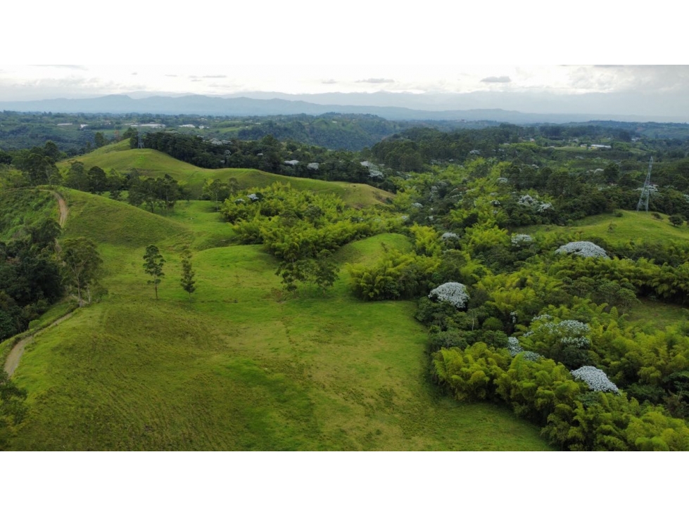 Finca en Venta Reserva Barbas Bremen, Pereira — foto 6