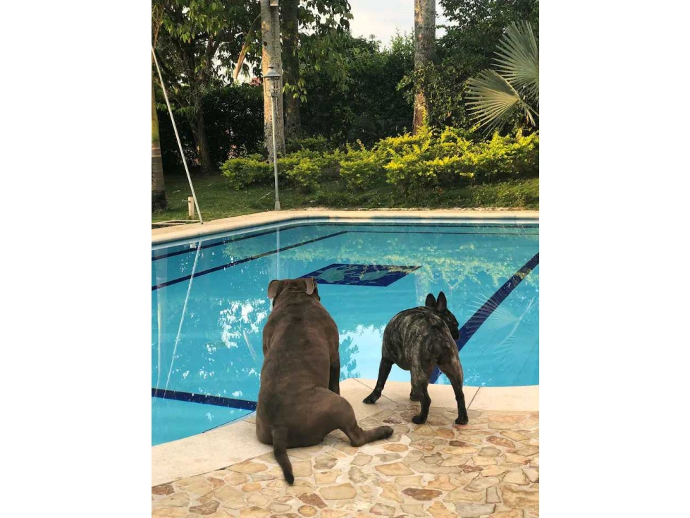 FINCA EN VENTA SAN JERÓNIMO VEREDA EL HATO — foto 4