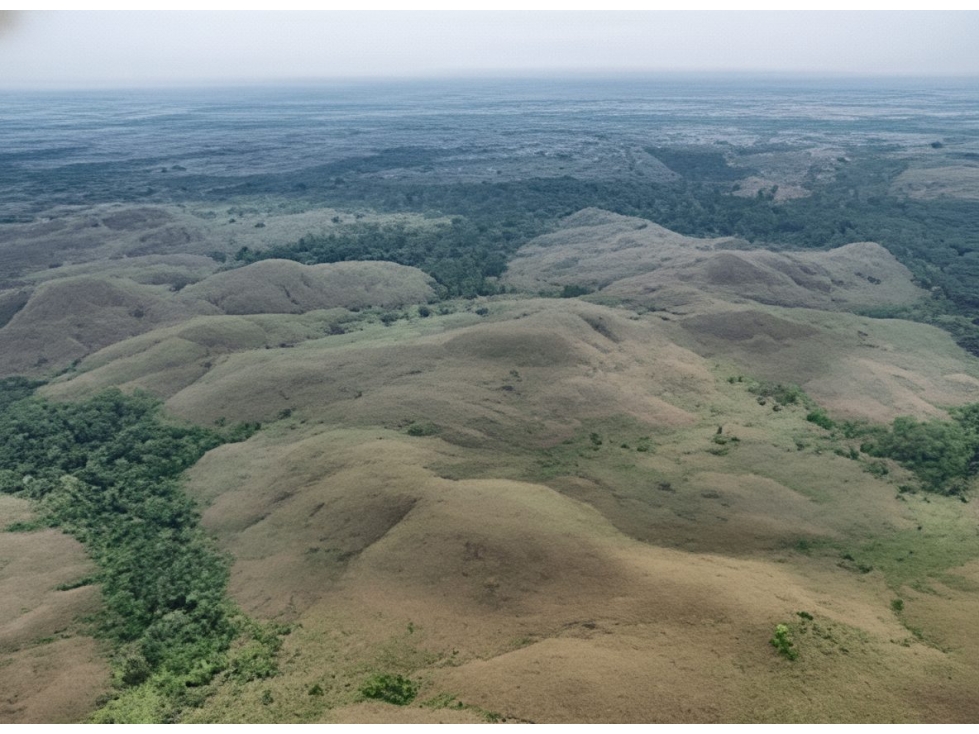 Finca en venta - San Martin - 1