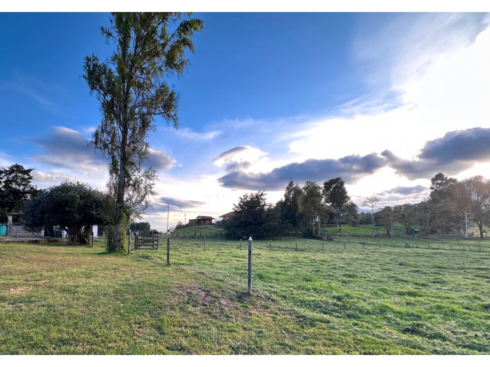 Finca en venta San Pedro de los Milagros — foto 6