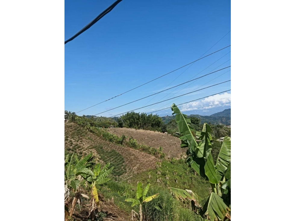 FINCA EN VENTA VEREDA ALTO BONITO | VÍA A NEIRA