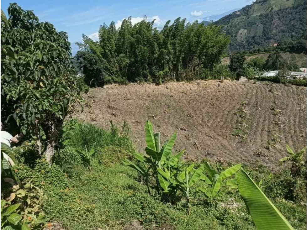 FINCA EN VENTA VEREDA ALTO BONITO | VÍA A NEIRA — foto 2