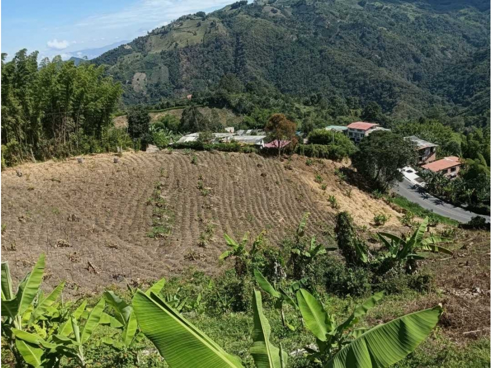 FINCA EN VENTA VEREDA ALTO BONITO | VÍA A NEIRA — foto 3