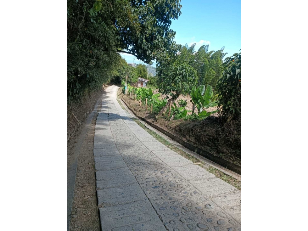 FINCA EN VENTA VEREDA ALTO BONITO | VÍA A NEIRA — foto 4