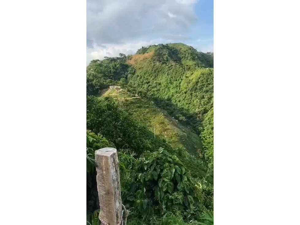 FINCA EN VENTA VEREDA BAJO TABLAZO | MANIZALES
